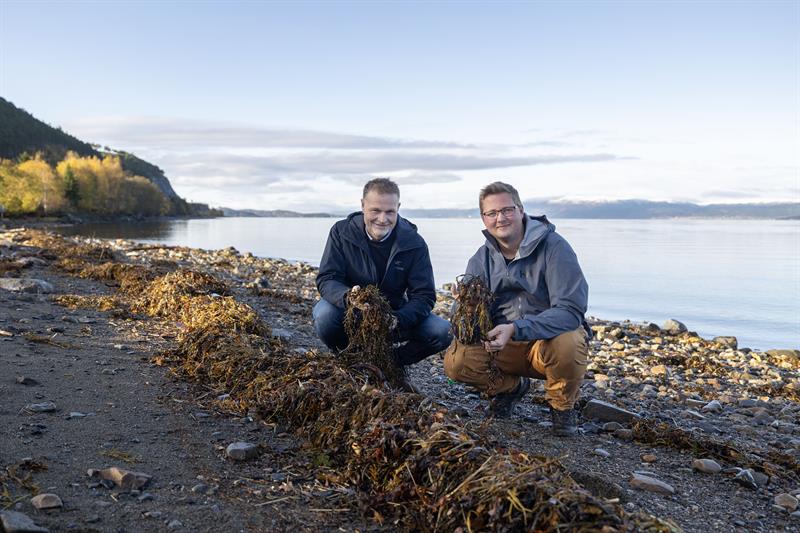 To menn sitter i fjæra og holder tang.