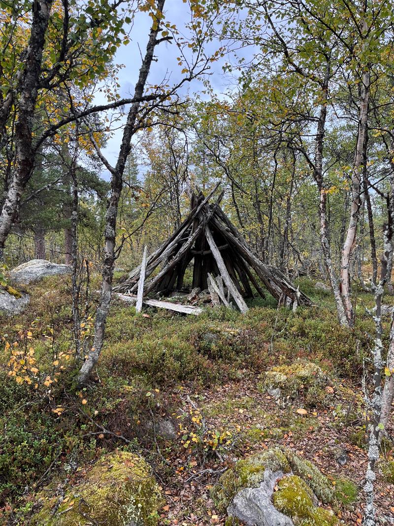 Gamme fra slutten av 1800-tallet. Knappåsen i Flensmarka, Røros