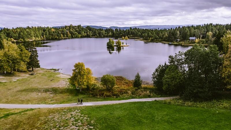 Bymarka_TR_05828_800_Foto_Olaf_Deharde.jpg Bymarka i Trondheim
